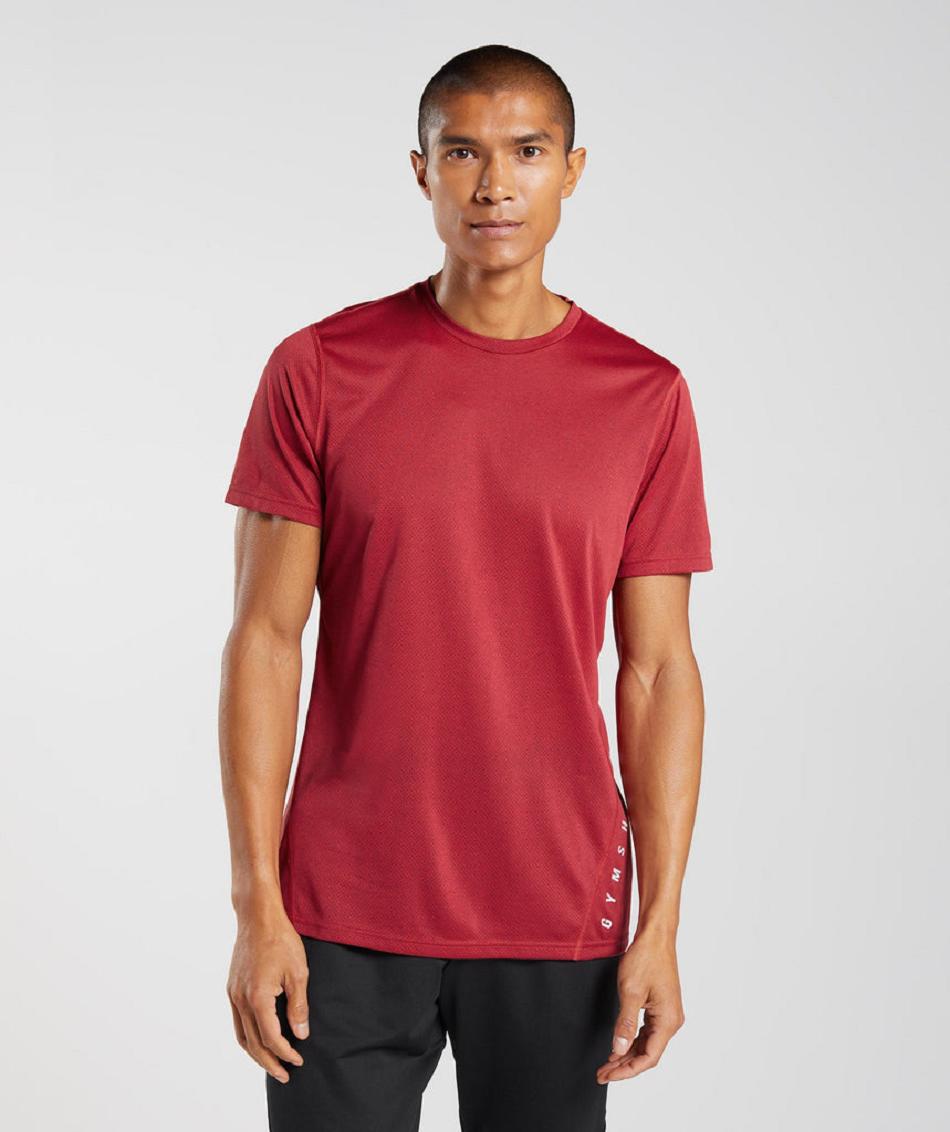 T Shirts Gymshark Deporte Hombre Rojas Negras | CO 3288LIS